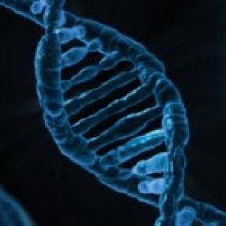 What is Biological Evolution?