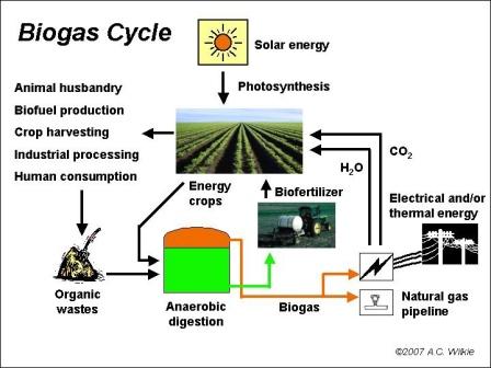 biogas production