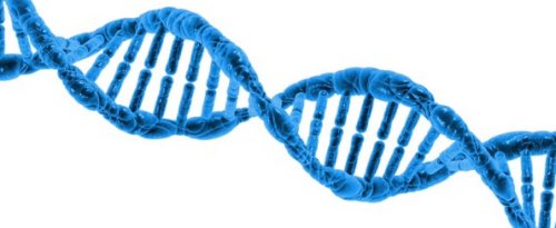 Ancestry DNA Evolution Evidence