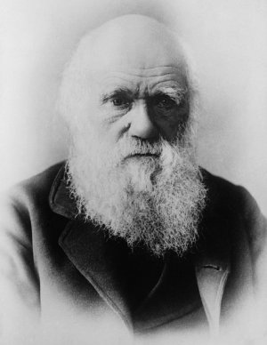 Charles Darwin Theory of Evolution 