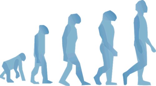 Biological Evolution of Humans