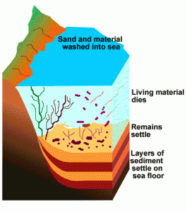 fossil fuel