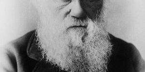 Charles Darwin Theory of Evolution