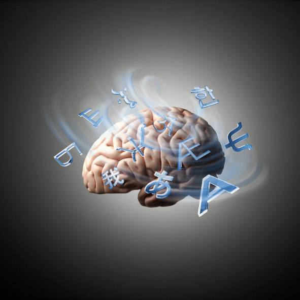 sleeping brain study to reveal dreams